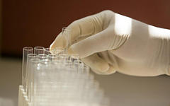 Фото с сайта novartis.com.ar Фото с сайта novartis.com.ar