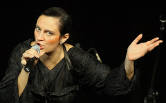 Елена Ваенга. Фото с сайта vaenga.ru Елена Ваенга. Фото с сайта vaenga.ru