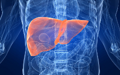 Изображение с сайта docgastro.com Изображение с сайта docgastro.com