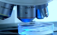 Стоп-кадр с видео в YouTube