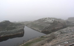 Мыс Святой нос. Фото shvetski с сайта panoramio.com Мыс Святой нос. Фото shvetski с сайта panoramio.com