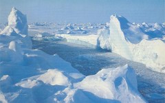 Фото пользователя lorinson с сайта risk.ru