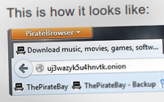Скриншот с сайта piratebrowser.com Скриншот с сайта piratebrowser.com