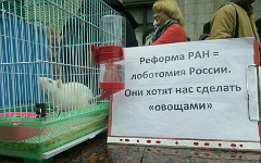 Митинг РАН у здания Госдумы © KM.RU, Алексей Белкин Митинг РАН у здания Госдумы © KM.RU, Алексей Белкин