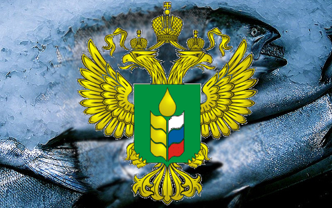 Коллаж © KM.RU Коллаж © KM.RU