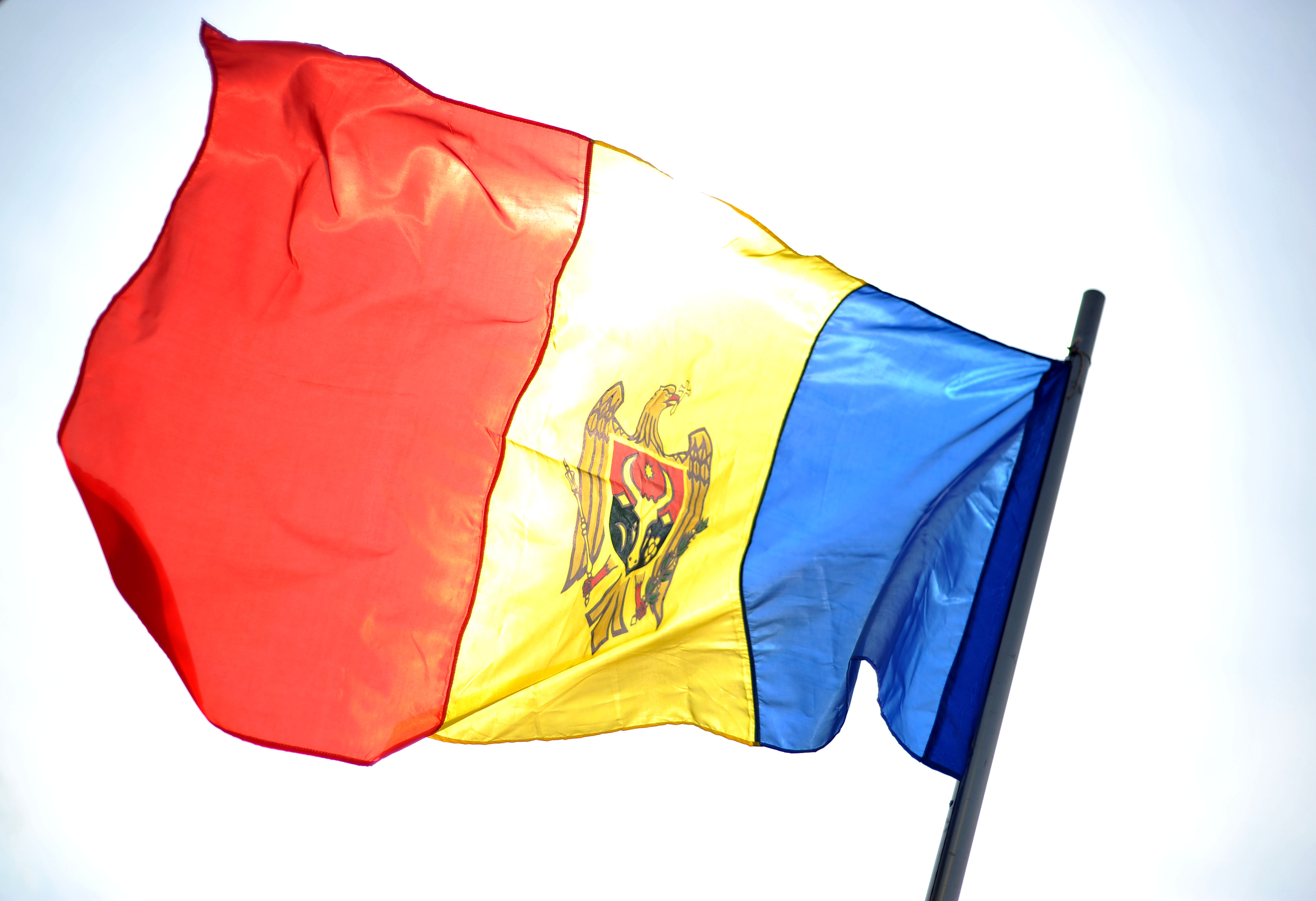 Фото с сайта wikimedia.org Фото с сайта wikimedia.org