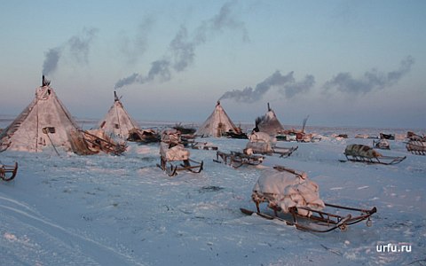 Фото с сайта urfu.ru Фото с сайта urfu.ru