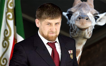 Рамзан Кадыров и жираф Мариус. Коллаж © KM.RU Рамзан Кадыров и жираф Мариус. Коллаж © KM.RU