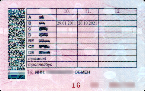 Фото с сайта wikimedia.org