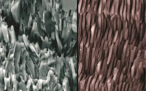 Изображение с сайта cnrs.fr Изображение с сайта cnrs.fr