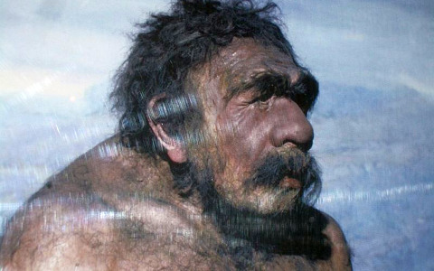 Неандерталец из Мустье. Фото с сайта wikimedia.org Неандерталец из Мустье. Фото с сайта wikimedia.org