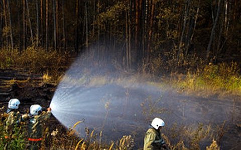 Фото с сайта rosleshoz.gov.ru Фото с сайта rosleshoz.gov.ru