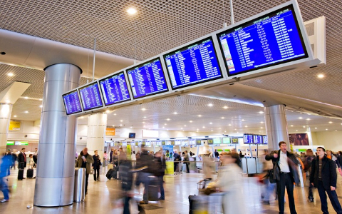 Фото с сайта domodedovo.ru Фото с сайта domodedovo.ru
