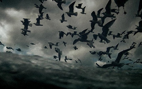 Фрагмент постера к фильму «Левиафан» Фрагмент постера к фильму «Левиафан»