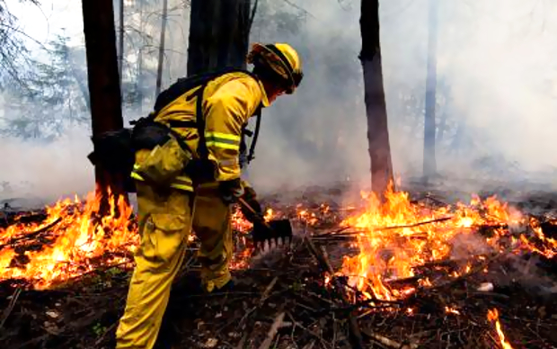 Фото с сайта fire.ca.gov