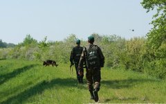 Фото с сайта dpsu.gov.ua Фото с сайта dpsu.gov.ua
