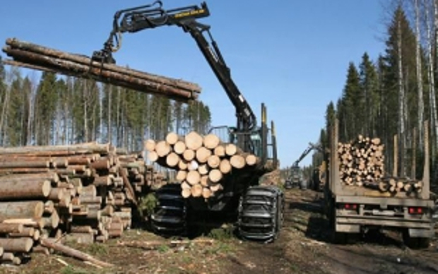Фото с сайта ko44.ru