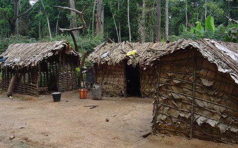 Дома пигмеев. Фото с сайта wikimedia.org