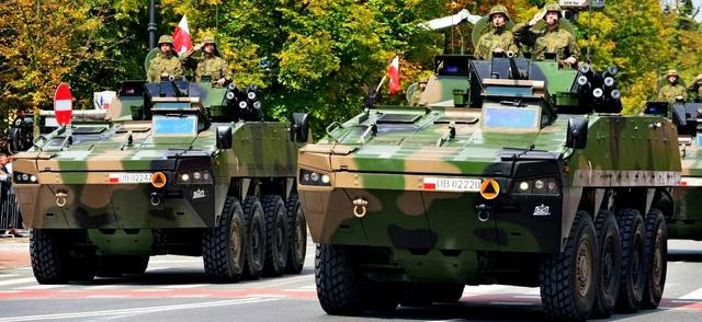 Польские военные. Фото с сайта mon.gov.pl
