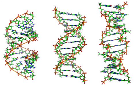 Изображение Zephyris с сайта wikipedia.org