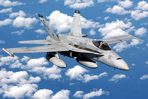F/A-18 Hornet. Фото с сайта wikipedia.org F/A-18 Hornet. Фото с сайта wikipedia.org