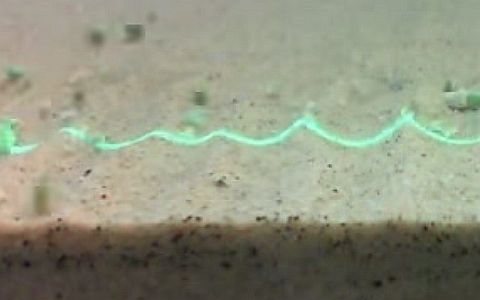 Стоп-кадр с видео в YouTube