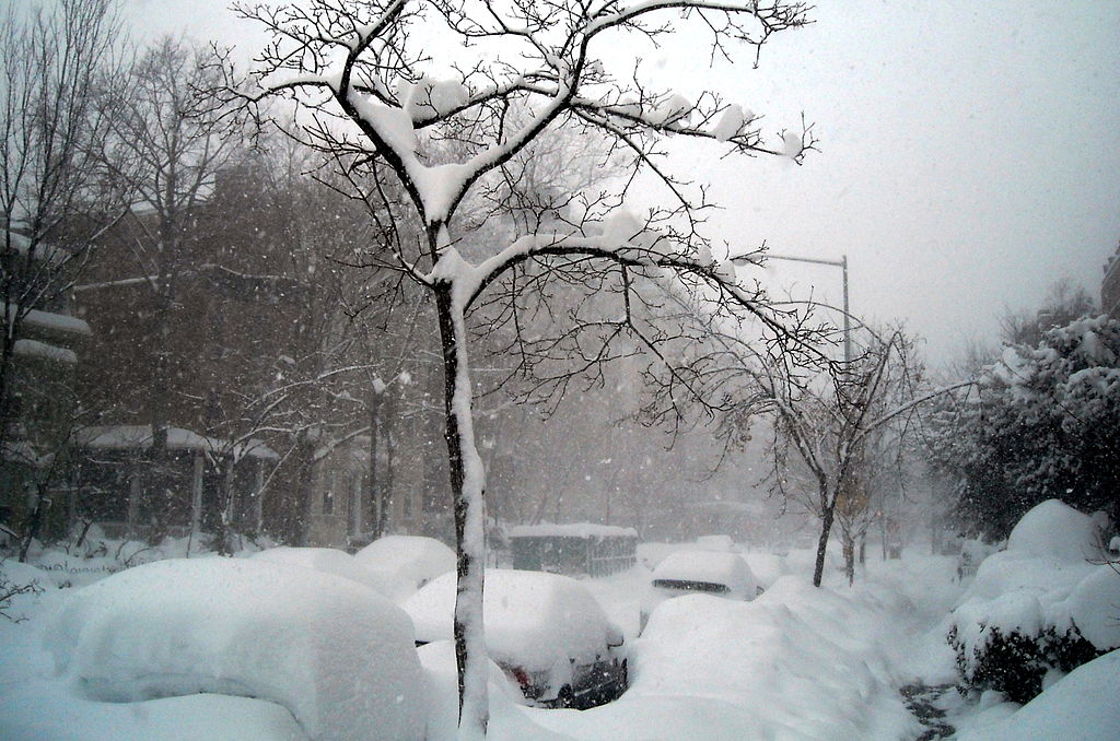 Фото с сайта wikipedia.org Фото с сайта wikipedia.org