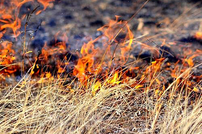 Фото с сайта modusponens.info Фото с сайта modusponens.info