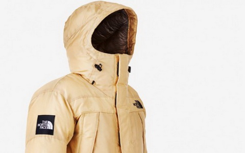 Moon Parka. Фото с офстраницы The North Face Moon Parka. Фото с офстраницы The North Face