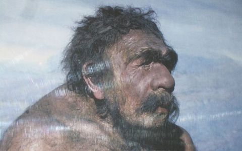 Неандерталец из Мустье, анатом Сольгер. Изображение с сайта wikimedia.org Неандерталец из Мустье, анатом Сольгер. Изображение с сайта wikimedia.org