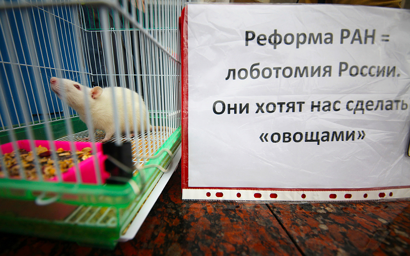 © KM.RU, Алексей Белкин © KM.RU, Алексей Белкин