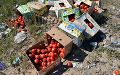 Уничтожение санкционных продуктов © РИА Новости, Виктор Толочко Уничтожение санкционных продуктов © РИА Новости, Виктор Толочко