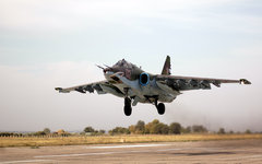 Фото с сайта wikimedia.org Фото с сайта wikimedia.org