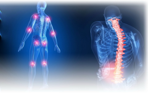 Изображение с сайта manual-rehab.com Изображение с сайта manual-rehab.com