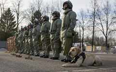 Фото с сайта Минобороны РФ Фото с сайта Минобороны РФ