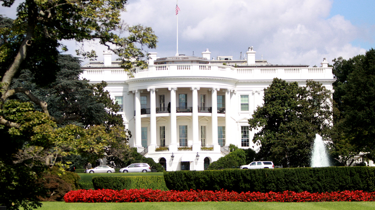 Фото с сайта wikimedia.org Фото с сайта wikimedia.org