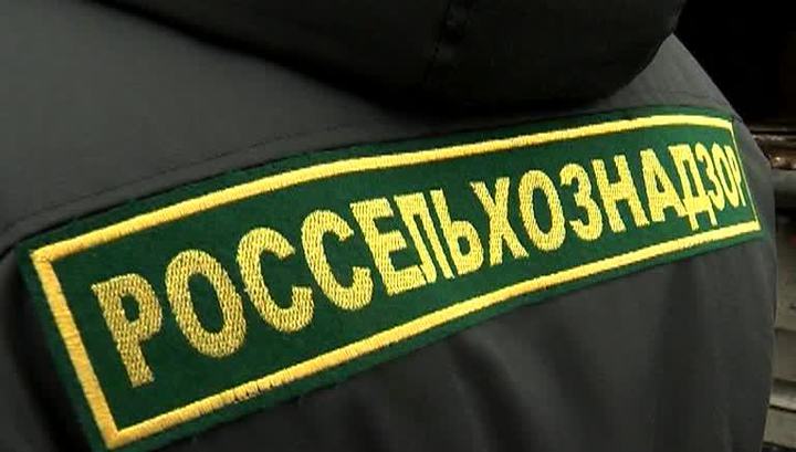 Фото с сайта vesti.ru Фото с сайта vesti.ru