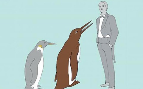 Изображение: Senckenberg Nature Research Society