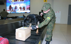Фото с сайта sh.customs.ru Фото с сайта sh.customs.ru