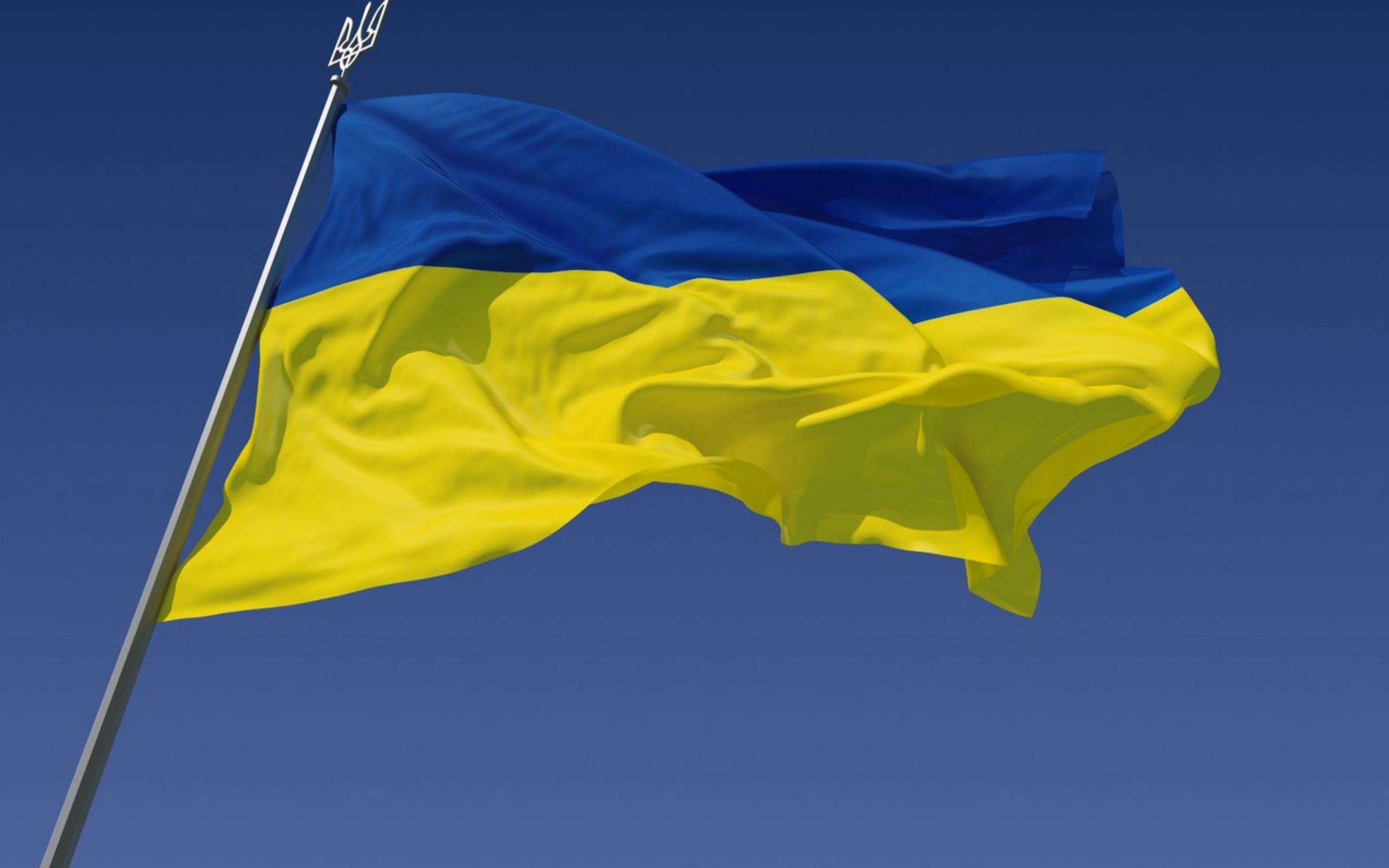 Фото с сайта wikimedia.org Фото с сайта wikimedia.org