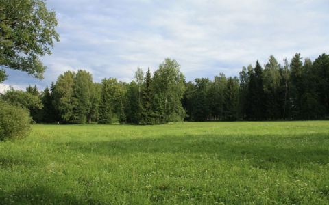 Пейзаж Ленинградской области. Фото с сайта wikimedia.org Пейзаж Ленинградской области. Фото с сайта wikimedia.org