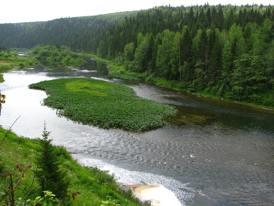 Фото с сайта Pixabay.com Фото с сайта Pixabay.com