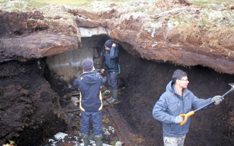 Фото с сайта tsu.ru Фото с сайта tsu.ru