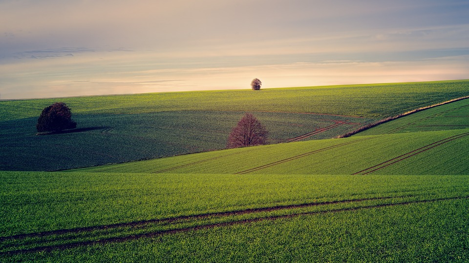 Фото с сайта Pixabay.com