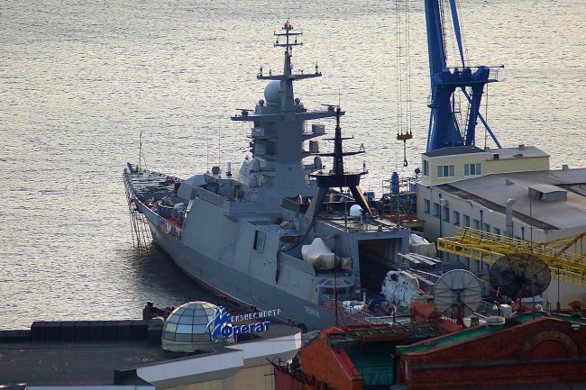 «Громкий» на Дальзаводе. Фото с сайта wikimedia.org