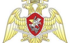 Эмблема Росгвардии. Фото с сайта rosgvardija.ru