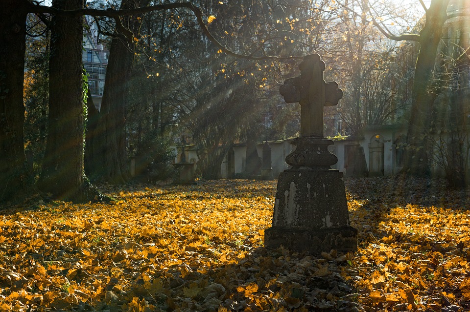 Фото с сайта Pixabay.com Фото с сайта Pixabay.com