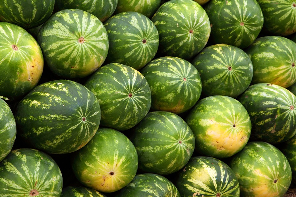 Фото с сайта Pixabay.com Фото с сайта Pixabay.com