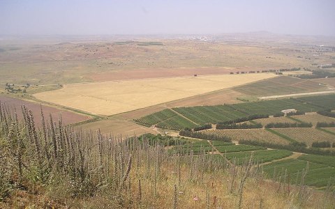 Вид с Голанских высот. Фото Russianname с сайта wikimedia.org Голанские высоты
