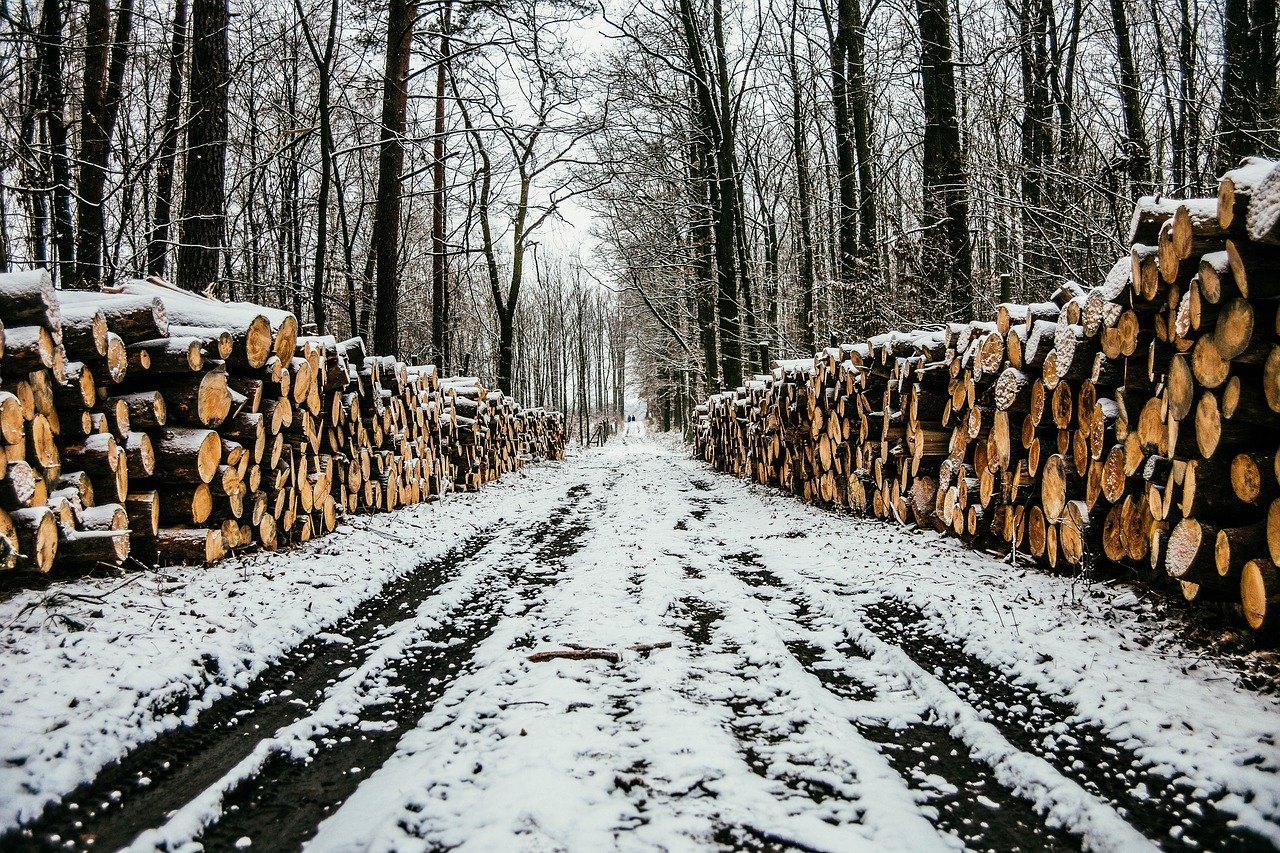 Фото с сайта pixabay.com